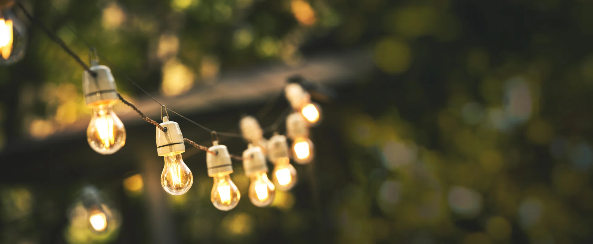 Accent Lighting Idaho Falls